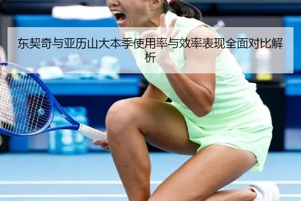 东契奇与亚历山大本季使用率与效率表现全面对比解析
